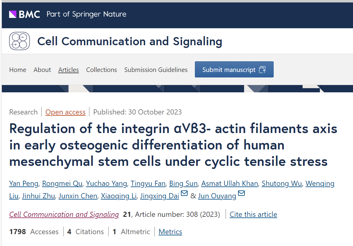 Collaborative Study Sheds Light on Mechanical Stress in Bone Regeneration