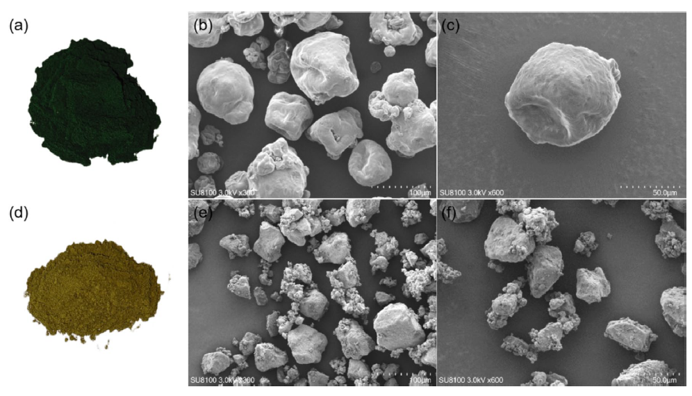 Microalgae-Based Bioplastics Unlock a New Chapter in Biobased Materials Applications