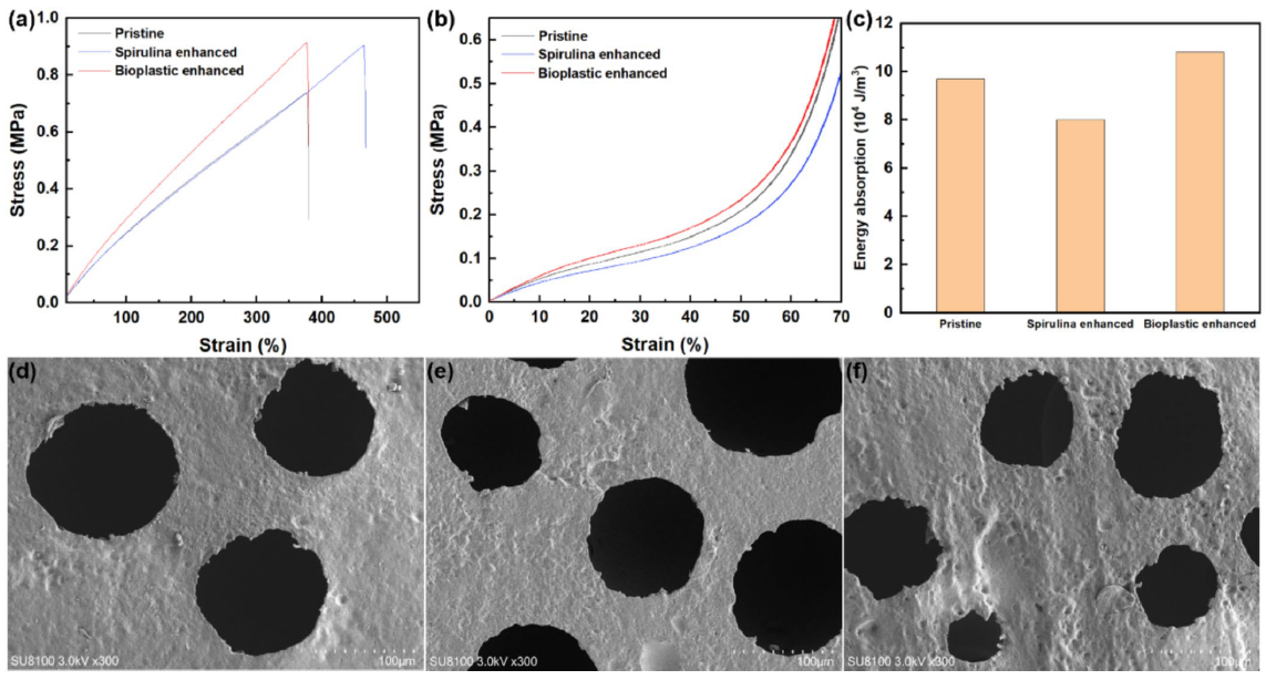 Microalgae-Based Bioplastics Unlock a New Chapter in Biobased Materials Applications