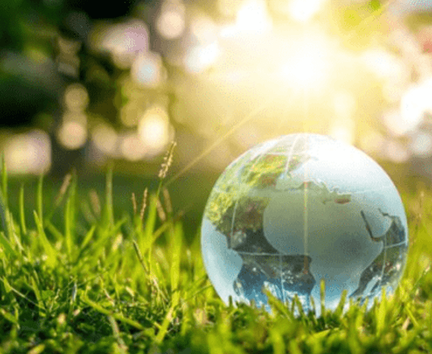 SUSTAINABILITY SUSTAINABILITY