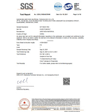 Test Report_SA