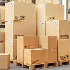 Critical Area Protection