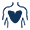 Chest 